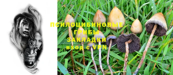 стафф Инсар